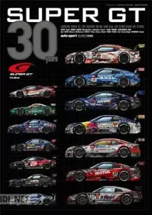 SUPER GT 30YEARS