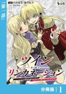 ツインリンカネーション