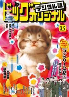 ビッグコミック