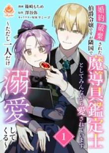 婚約破棄された伯爵令嬢ですが隣国で魔導具鑑定士としてみんなから愛されています