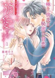極上彼氏と秘密の甘恋～出会ってすぐに溺愛されています～