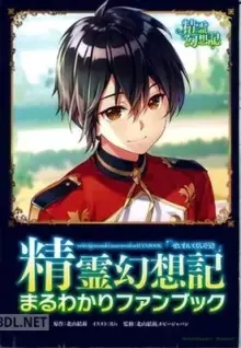 精霊幻想記 まるわかりファンブック