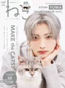 ねこ No.