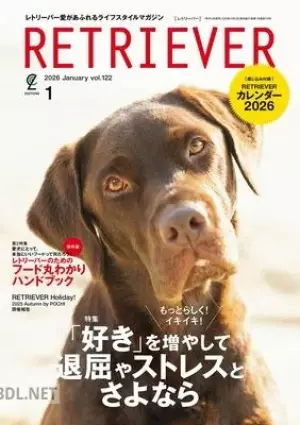 RETRIEVER (レトリーバー)