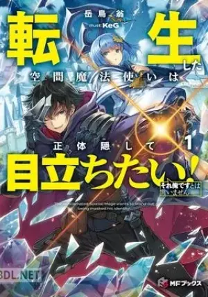 転生した空間魔法使いは正体隠して目立ちたい  epub